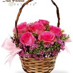 Roses For You
