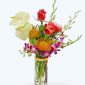 Tropical Island by Sun Flower Gallery in Glenview, il.