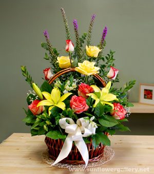 Sympathy Garden