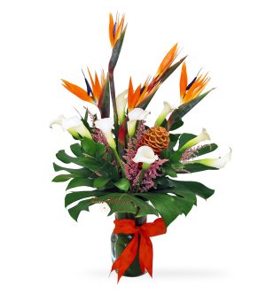 Tropical Esacpe