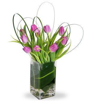 Lavender Tulip Bunch