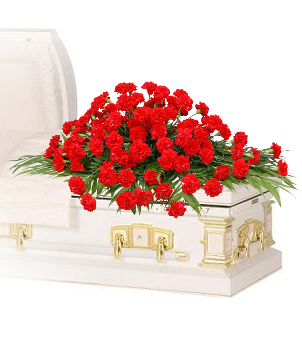 red carnation casket spray